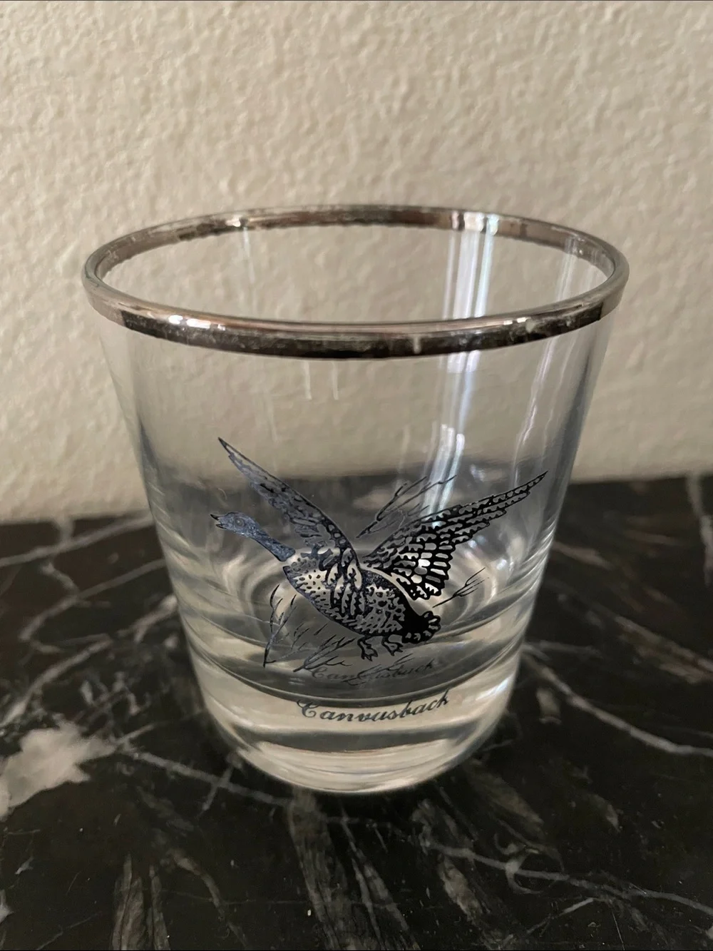 Silver-Rimmed Clear Glass Tumbler with Bird Motif - Set of 4